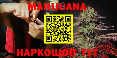 дурь Кингисепп