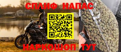 дурь Кингисепп