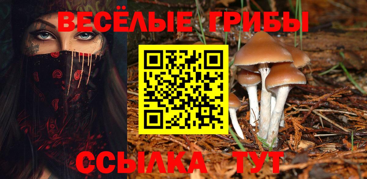 Псилоцибиновые грибы GOLDEN TEACHER Энгельс