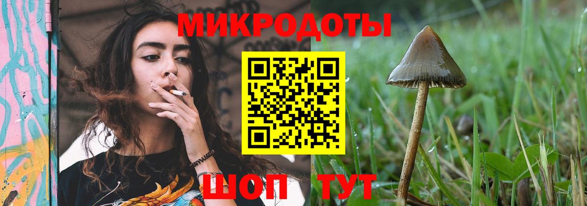 где найти наркотики  Вход с VPN  Энгельс  Псилоцибиновые грибы MAGIC MUSHROOMS 